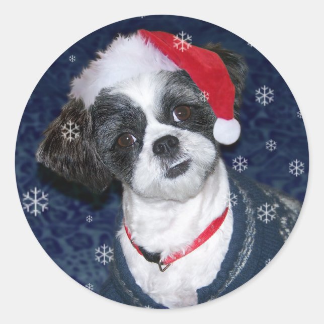 Christmas Shih Tzu Dog Runder Aufkleber (Vorderseite)