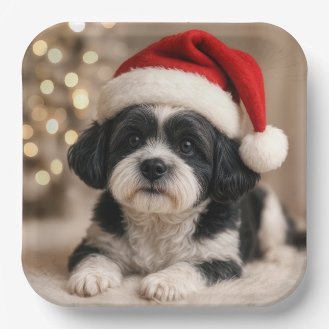 Christmas Shih Tzu Dog With Santa Hat Pappteller (Vorderseite)
