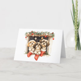 Christmas Shih Tzu Dogs Feiertagskarte