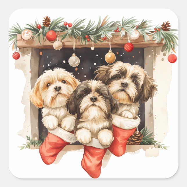 Christmas Shih Tzu Dogs Quadratischer Aufkleber (Vorderseite)