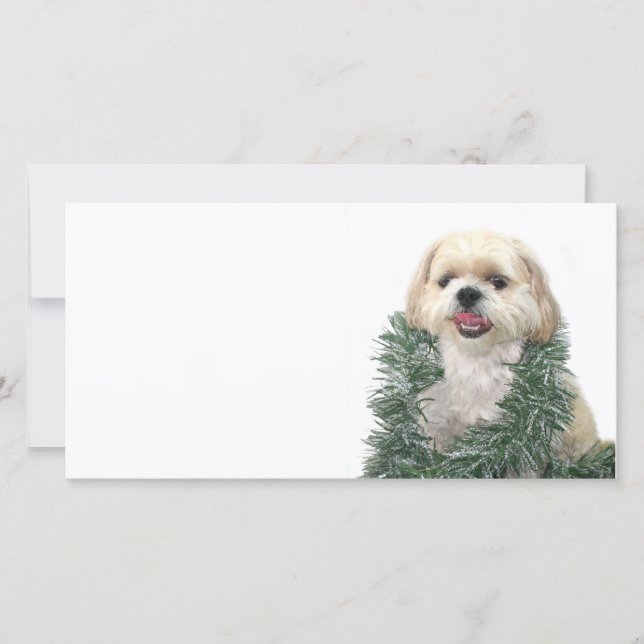 Christmas Shih Tzu Feiertagskarte (Vorderseite)