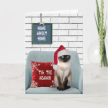 Christmas Siamese Cat on a Chair
