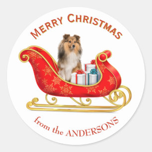 Christmas Sleigh Shetland Sheepdog Runder Aufkleber