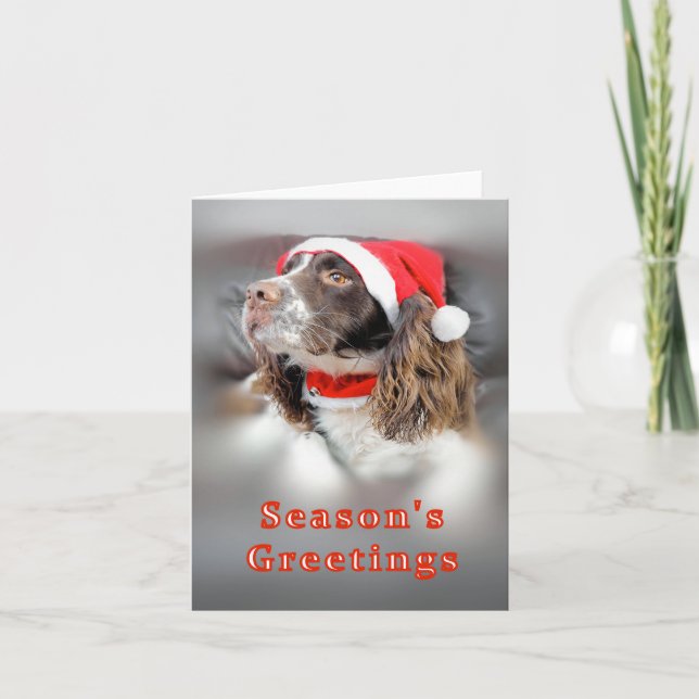 Christmas Springer Spaniel Karte (Vorderseite)