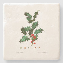 CHRISTMAS STONE UNTERSETZER: HOLLY: REDOUTÉ