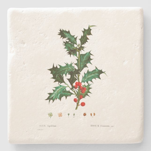 CHRISTMAS STONE UNTERSETZER: HOLLY: REDOUTÉ STEINUNTERSETZER (Vorderseite)
