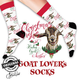 Christmas Toggenburg Baby Goat wünscht Socken