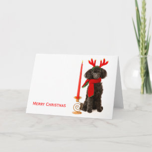 Christmas Toy Poodle Dog Feiertagskarte