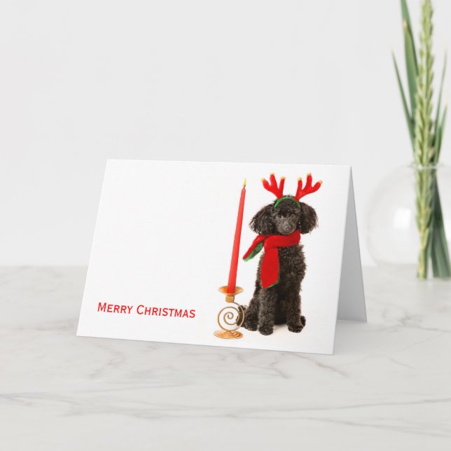Christmas Toy Poodle Dog Feiertagskarte (Vorderseite)