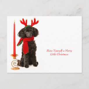 Christmas Toy Poodle Dog Feiertagspostkarte