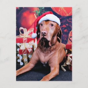 Christmas - Vizsla - Budda Feiertagspostkarte