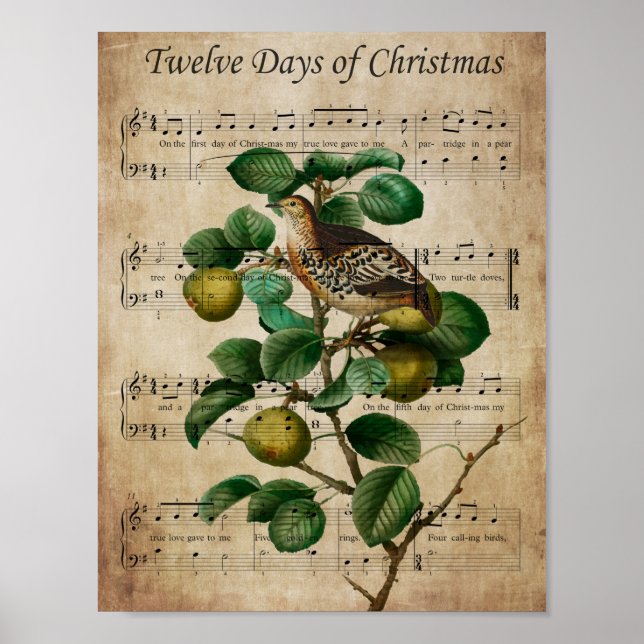 Christmas Wall Art-Partridge in a Pear Tree Poster (Vorne)