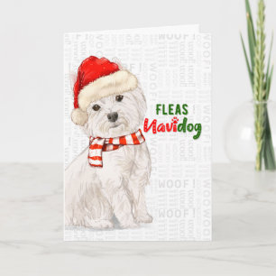 Christmas West Highland Terrier Fleas NaviDOG Feiertagskarte