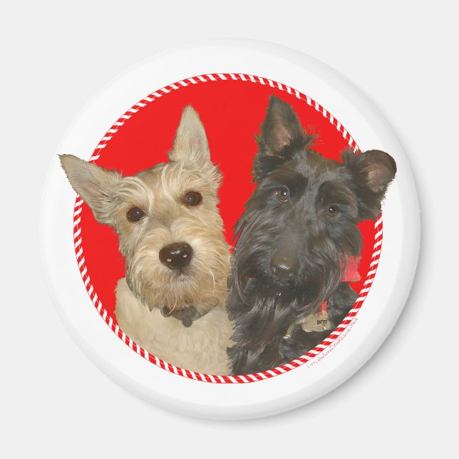 Christmas Wheaten & Black Scott Magnet (Vorne)