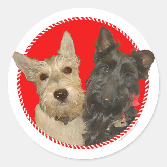 Christmas Wheaten & Black Scott Runder Aufkleber (Vorderseite)