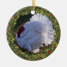 Christmas White Turkey Tom
