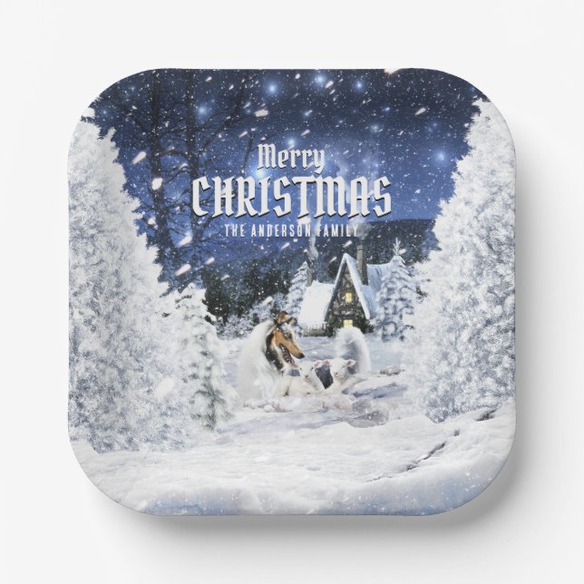Christmas Winter Fairy Tale, Blue Merle Collie - Pappteller (Vorderseite)