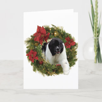 Christmas Wreath Newf Landseer Feiertagskarte