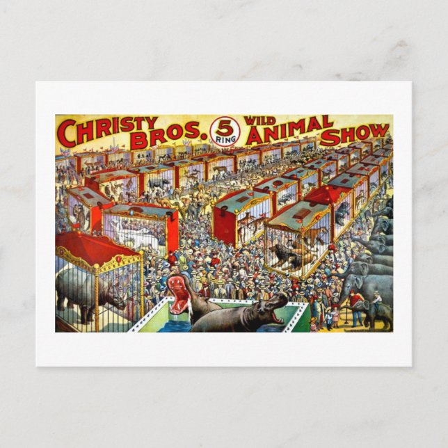 Christy's Wild Animal Show - Vintag Postkarte (Vorderseite)