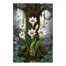 Chromatic Lily Symphony