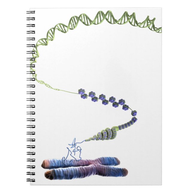 Chromatin Notizblock (Vorderseite)