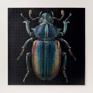 Chromatische Käfer