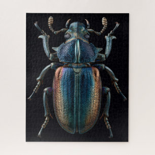Chromatische Käfer