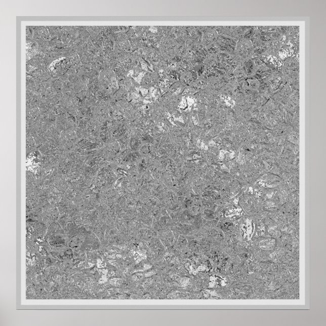Chrome-farbige Orchideen, Poster (Vorne)