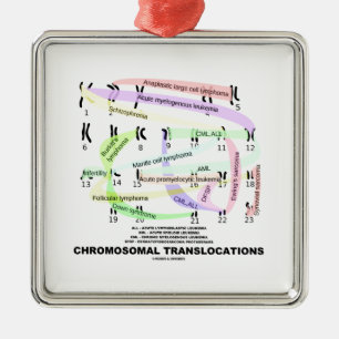 Chromosomale Versetzungen (Karyogram) Silbernes Ornament