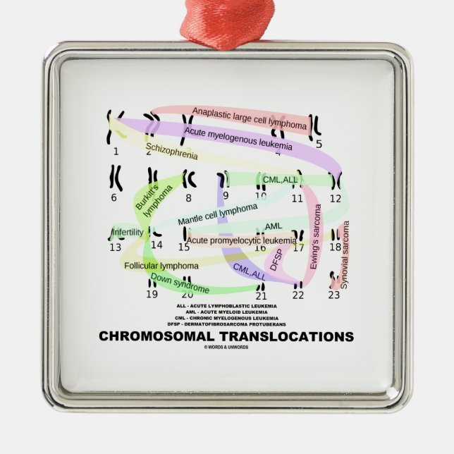 Chromosomale Versetzungen (Karyogram) Silbernes Ornament (Vorne)
