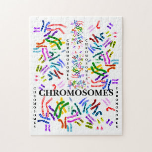 Chromosomen Challenging Fun für das Alter von 10 