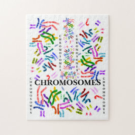 Chromosomen Challenging Fun für das Alter von 10 u