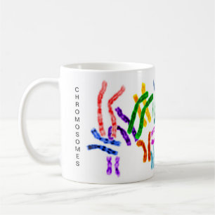 Chromosomen, DNA-Moleküle Kaffeetasse