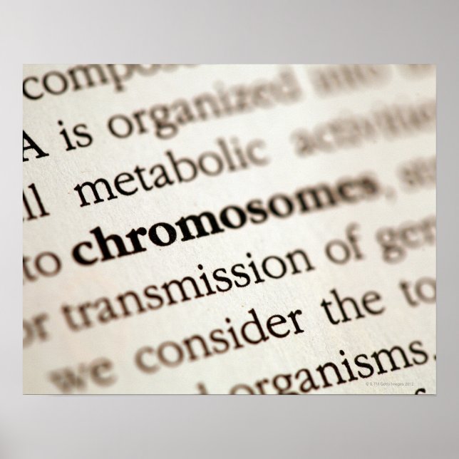 Chromosomendefinition auf Seite Poster (Vorne)