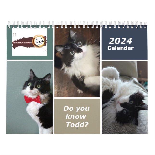 Chroniques du calendrier Todd 2024 (Protection)