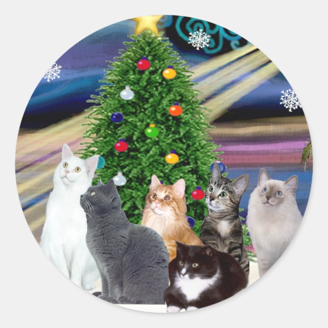 Chrstmas Magic - Sechs Katzen (Sorte) Runder Aufkleber (Vorderseite)