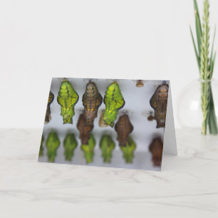 Chrysalis Birthday Card Karte
