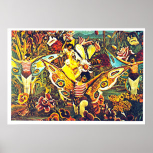 Chrysalis et papillon - Poster