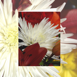 Chrysanthème blanc parmi les fleurs rouges et oran