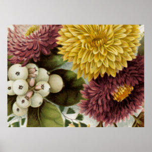 Chrysantheme Blumenstrauß Floral Poster