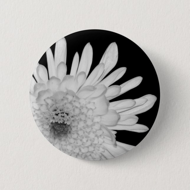 Chrysantheme Button (Vorderseite)