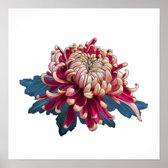 chrysanthème japonais rouge et jaune blanc Poster (Devant)