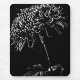 Chrysantheme Mousepad