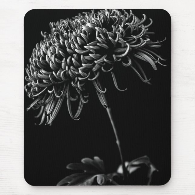 Chrysantheme Mousepad (Vorne)