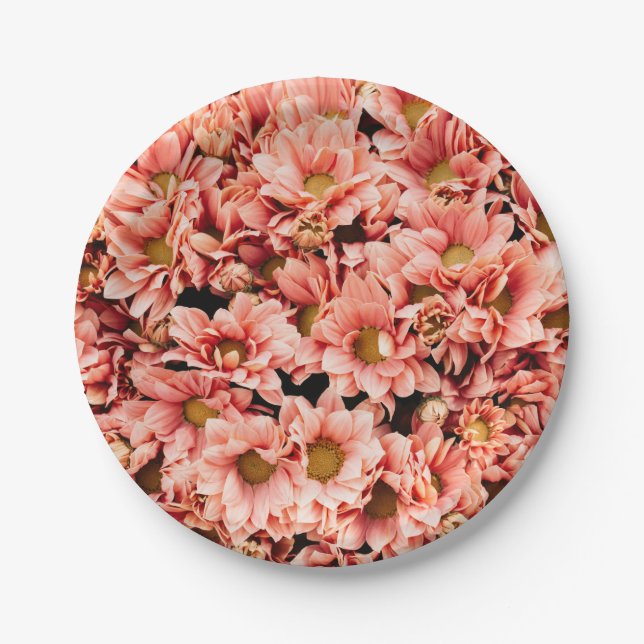 Chrysantheme Pappteller (Vorderseite)