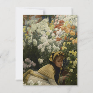 Chrysanthemen