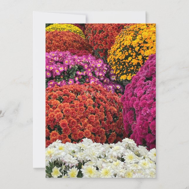 Chrysanthemen Einladung (Vorderseite)