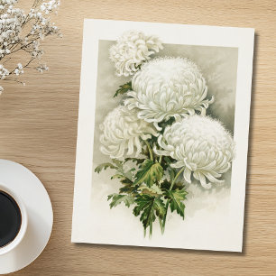 Chrysanthemen – Elegante Vintage-Botanik Postkarte