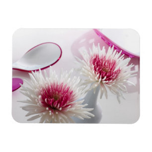 Chrysanthemen Magnet