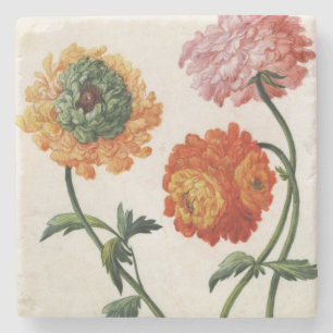 Chrysanthemen (w/c auf Papier) Steinuntersetzer